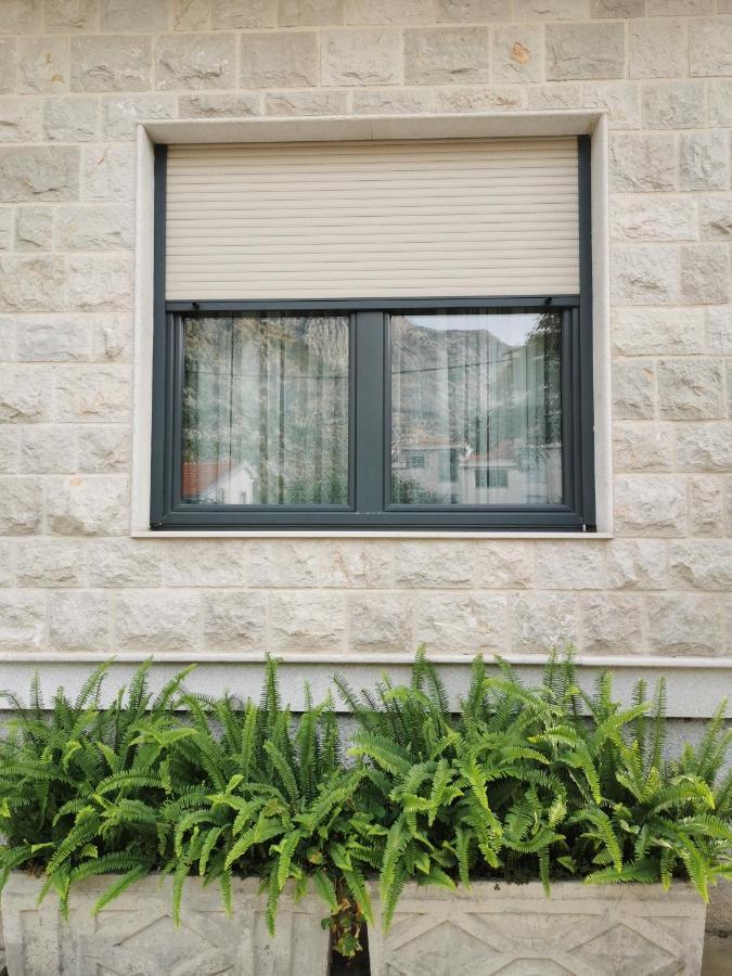 Apartment Benvenuti Kotor Bagian luar foto