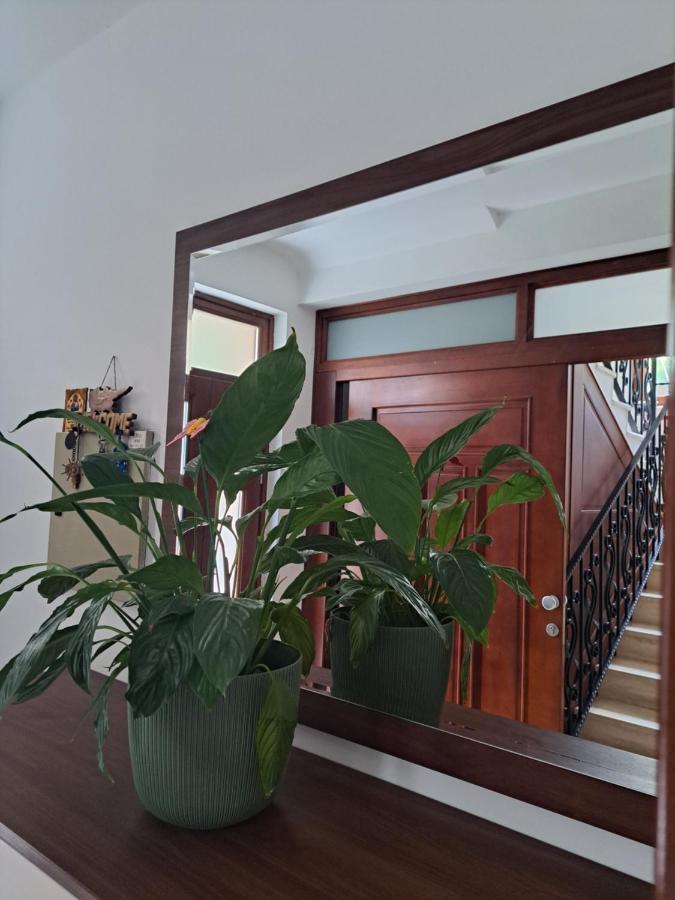 Apartment Benvenuti Kotor Bagian luar foto