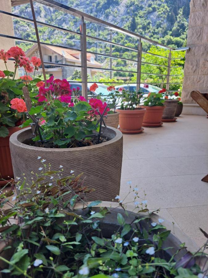 Apartment Benvenuti Kotor Bagian luar foto