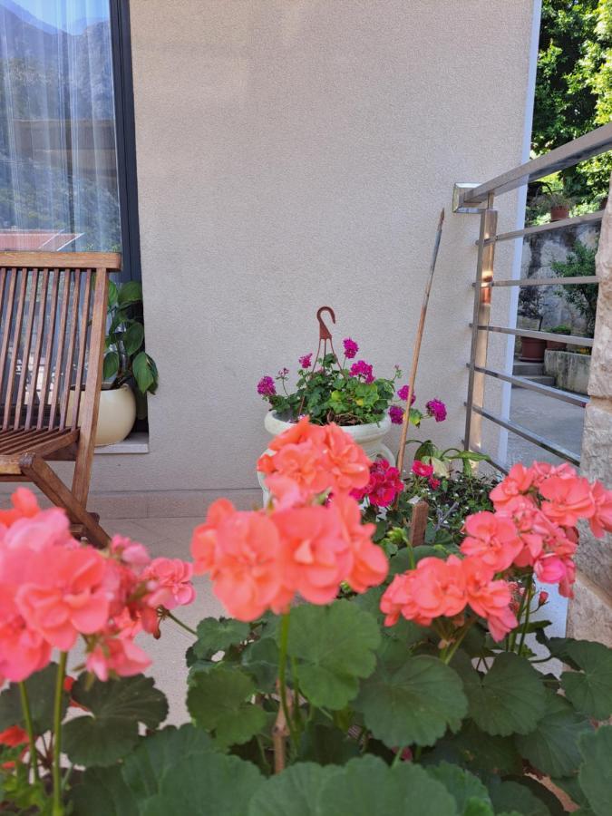 Apartment Benvenuti Kotor Bagian luar foto